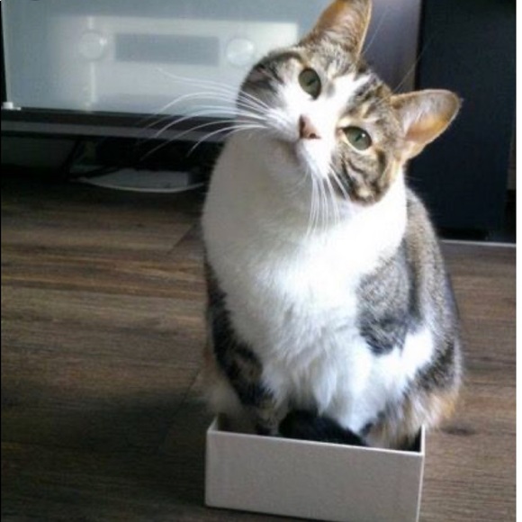 🌿I Pack With Care & Bubble Wrap🌿 - Picture 14 of 16